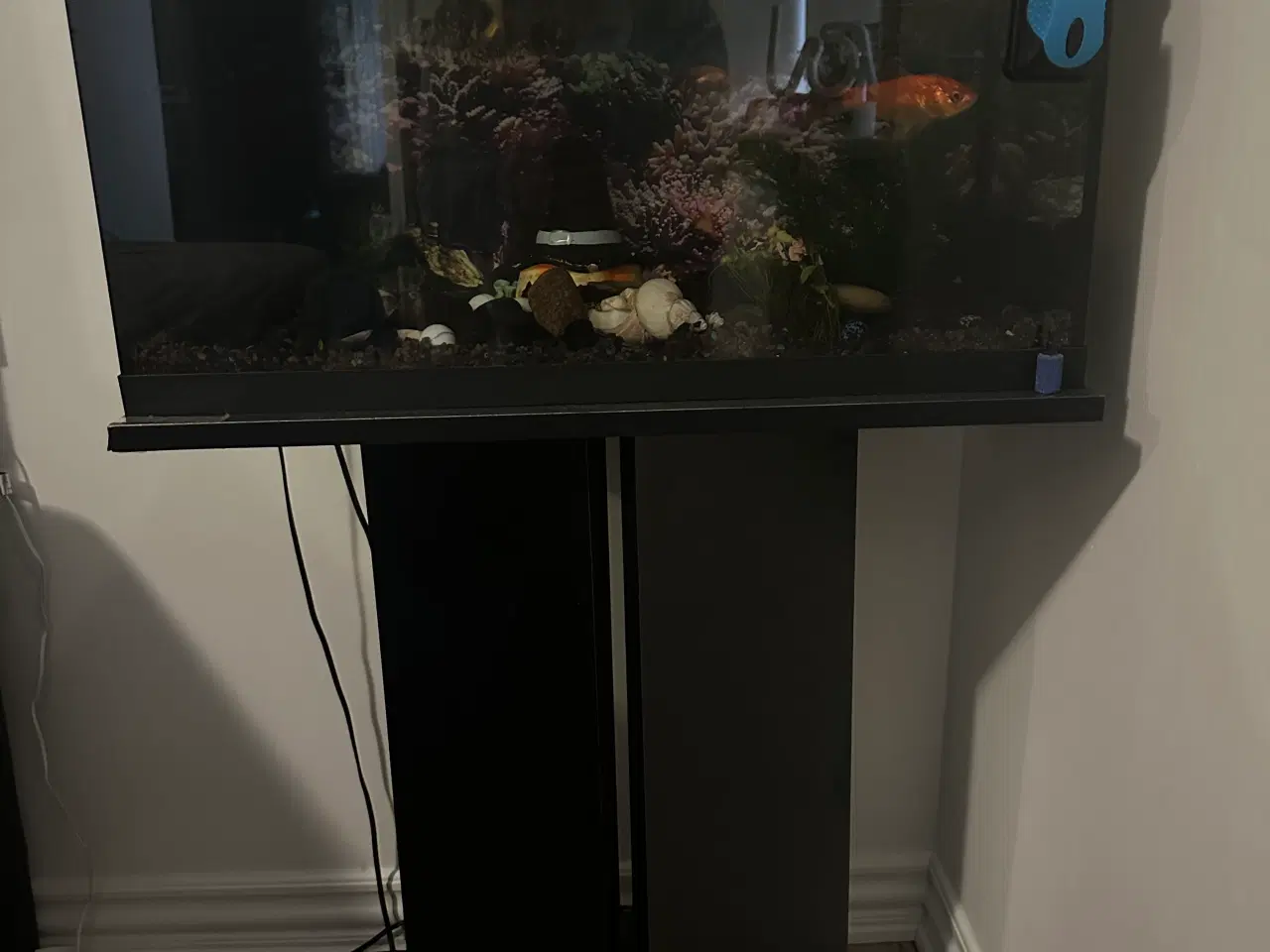 Billede 2 - Akvarium med fisk 