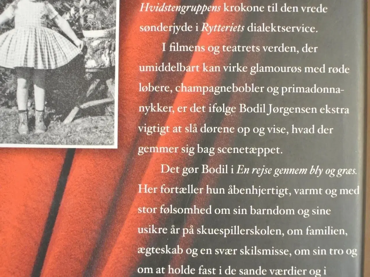 Billede 3 - en rejse gennem bly og græs, af bodil jørgensen i 