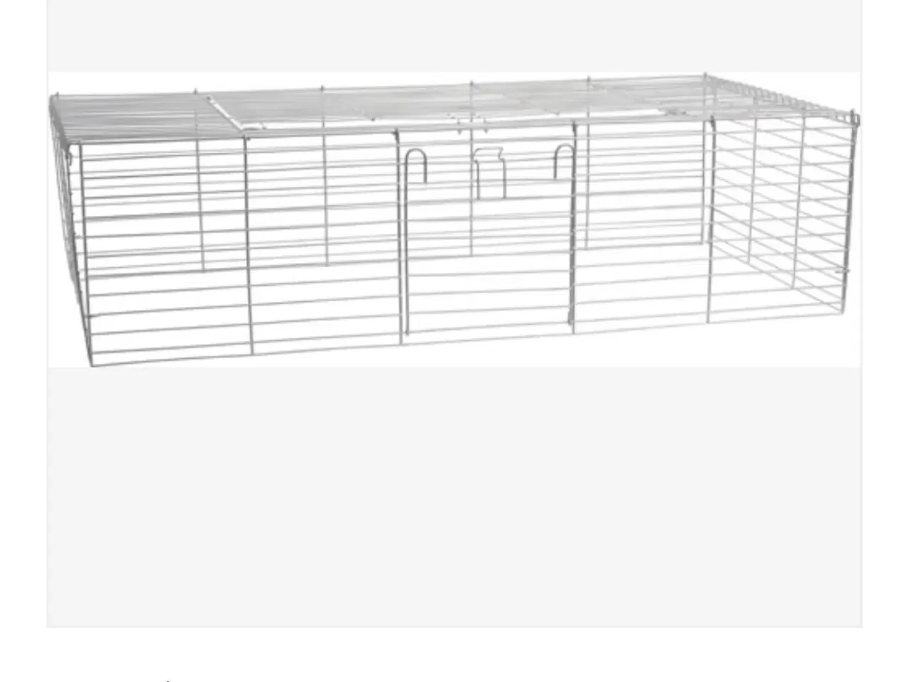 Billede 3 - Kanin minilop