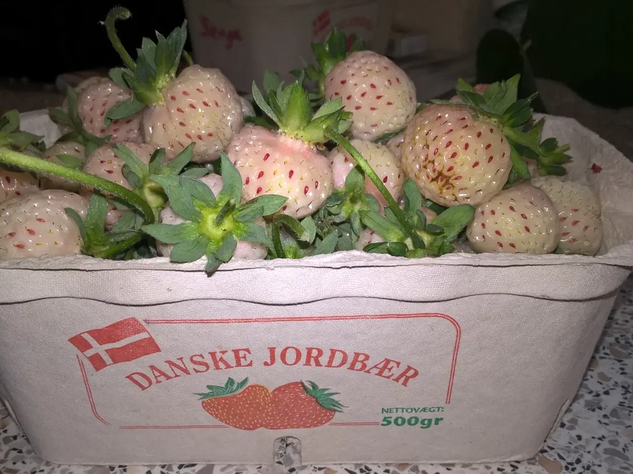 Billede 1 - Hvide jordbær, planter