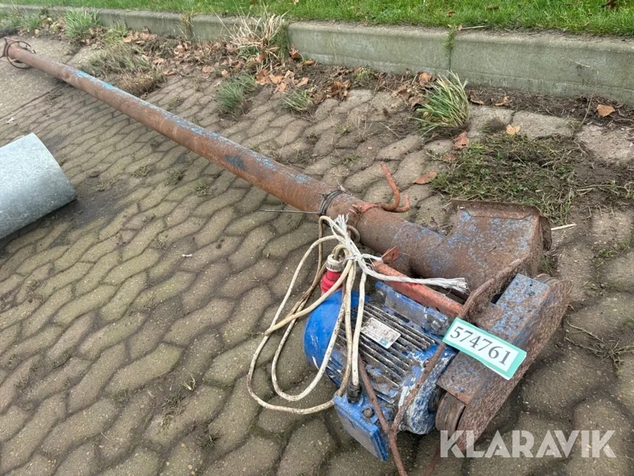 Billede 2 - Kornsnegl