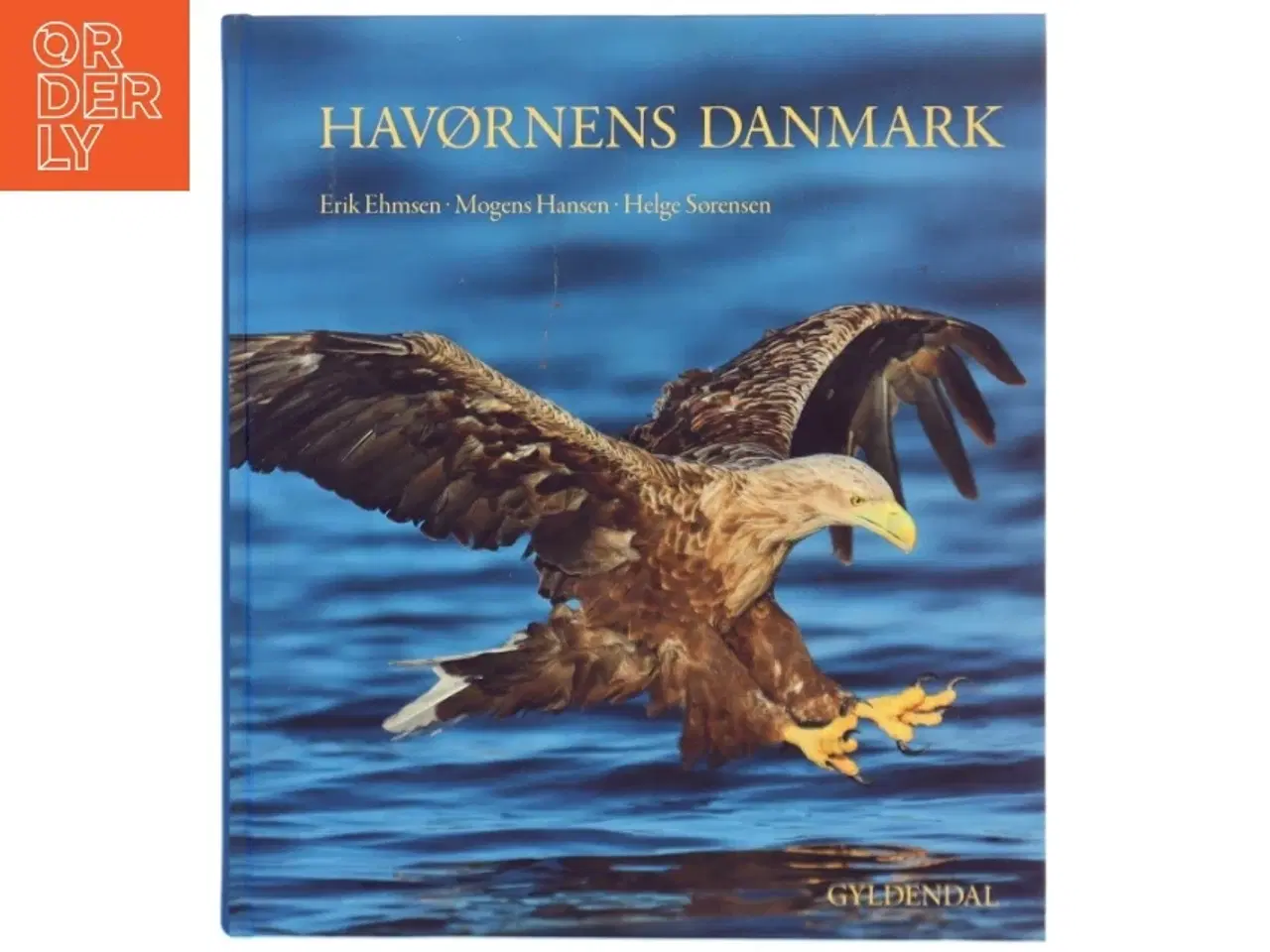 Billede 1 - Havørnens Danmark af EhmsenErik (Bog)
