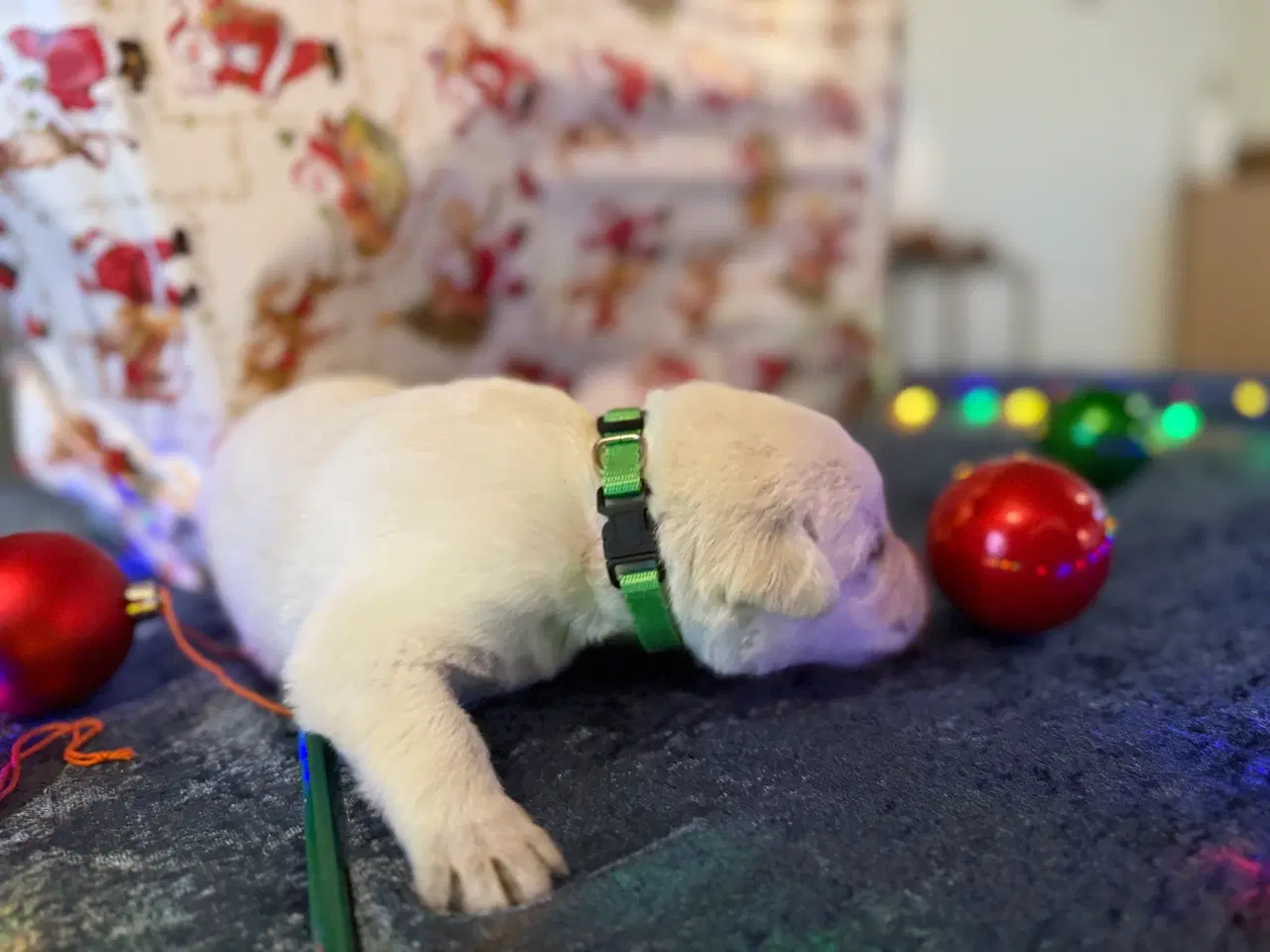 Billede 4 - Ønsker i en blød julegave 3 tilbage