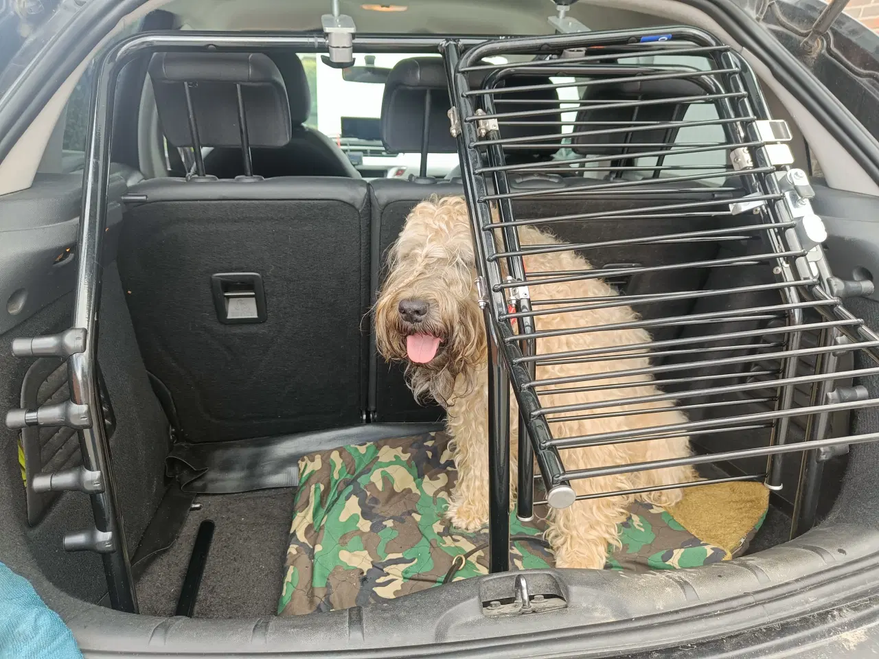 Billede 5 - Hundegitter fra det Finske kvalitets mærke Kulkuko
