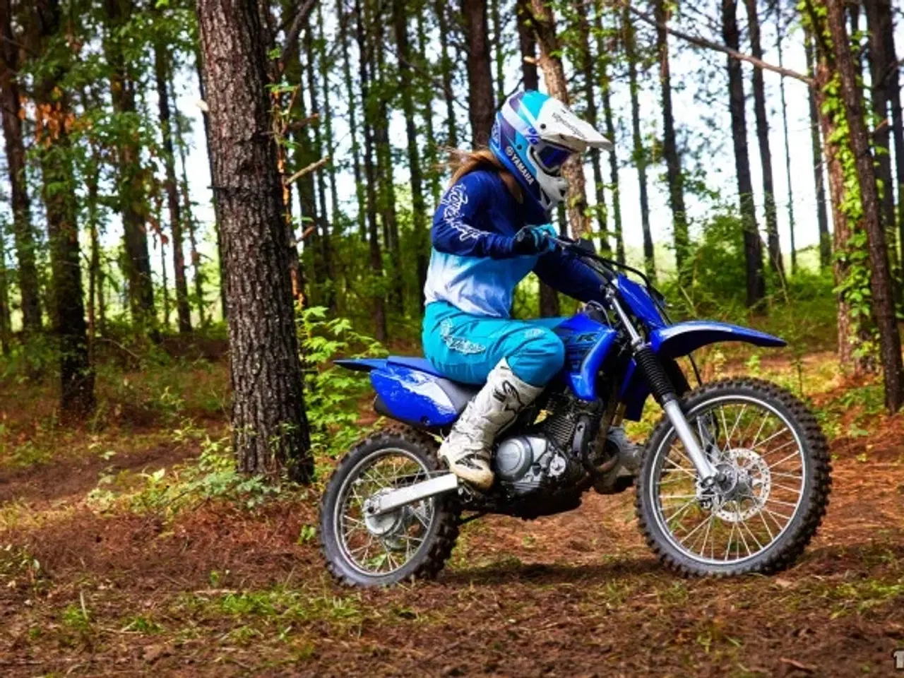 Billede 1 - Yamaha TTR 125 LW