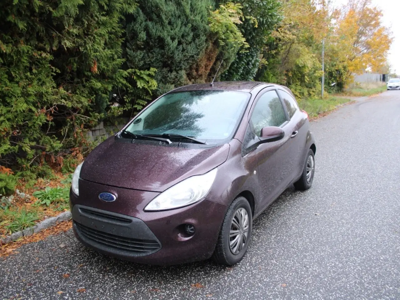 Billede 2 - Ford Ka 1,2 Ambiente SE