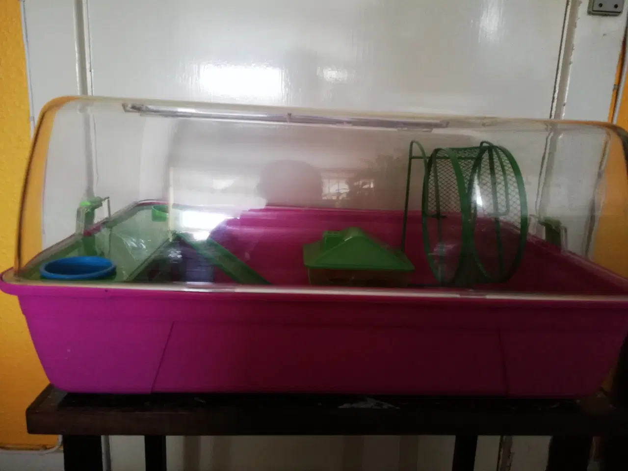 Billede 8 - Hamsterbur/Gnaverbur, Duna Fun, Ferplast