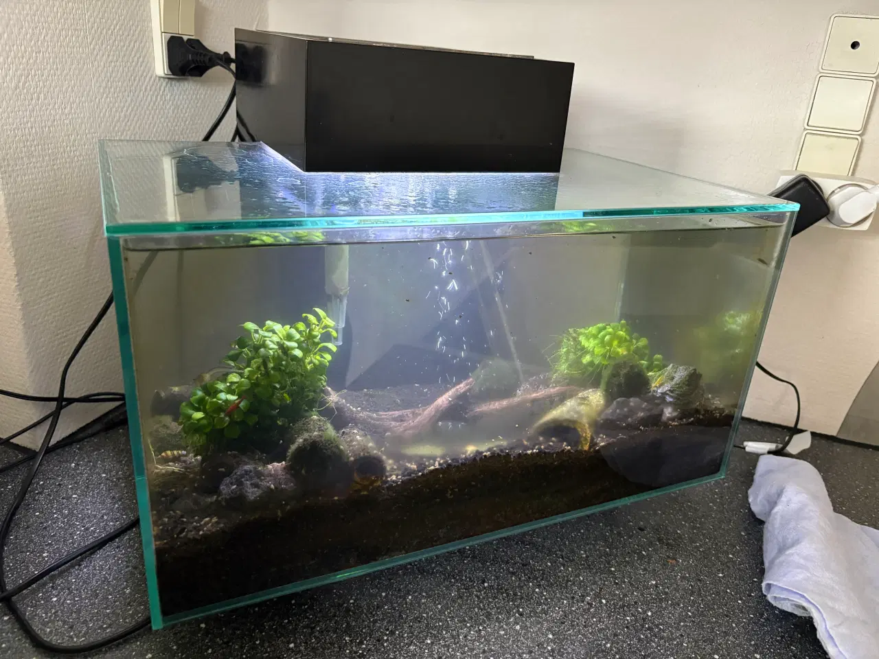 Billede 1 - Fluval edge 23l akvarie