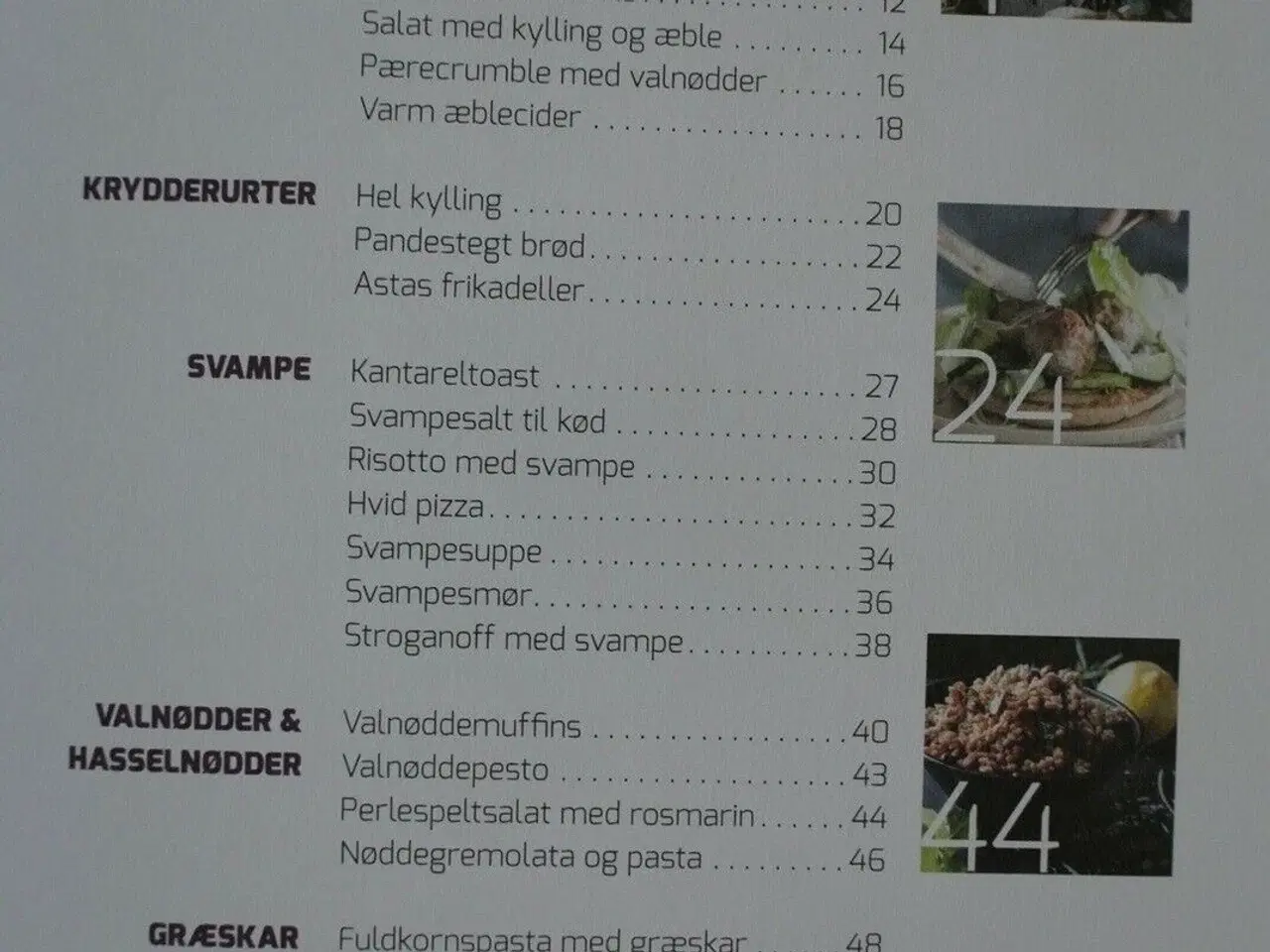 Billede 2 - mad til det virkelige liv efterår, af inge skovdal