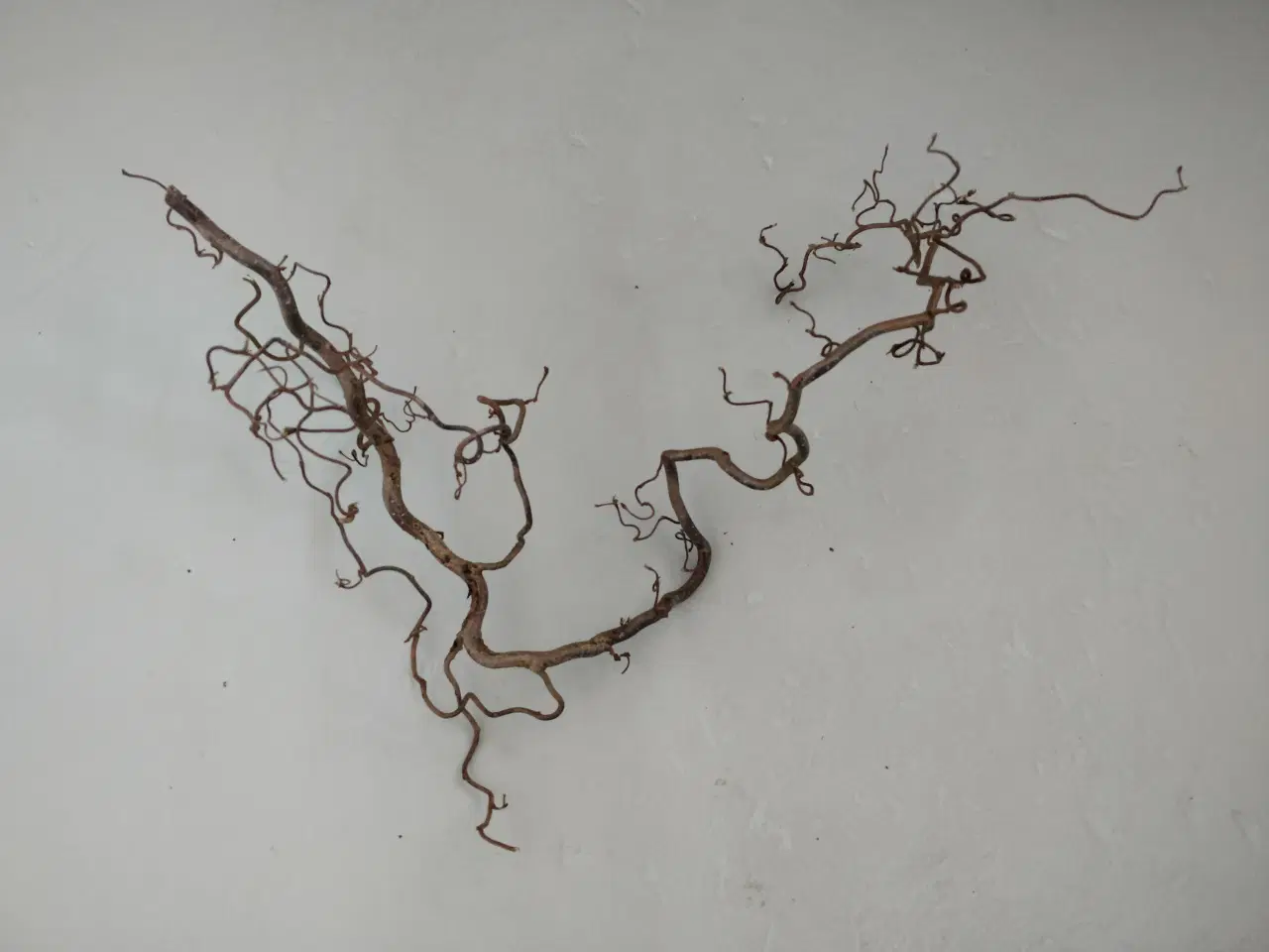 Billede 1 - Troldegren