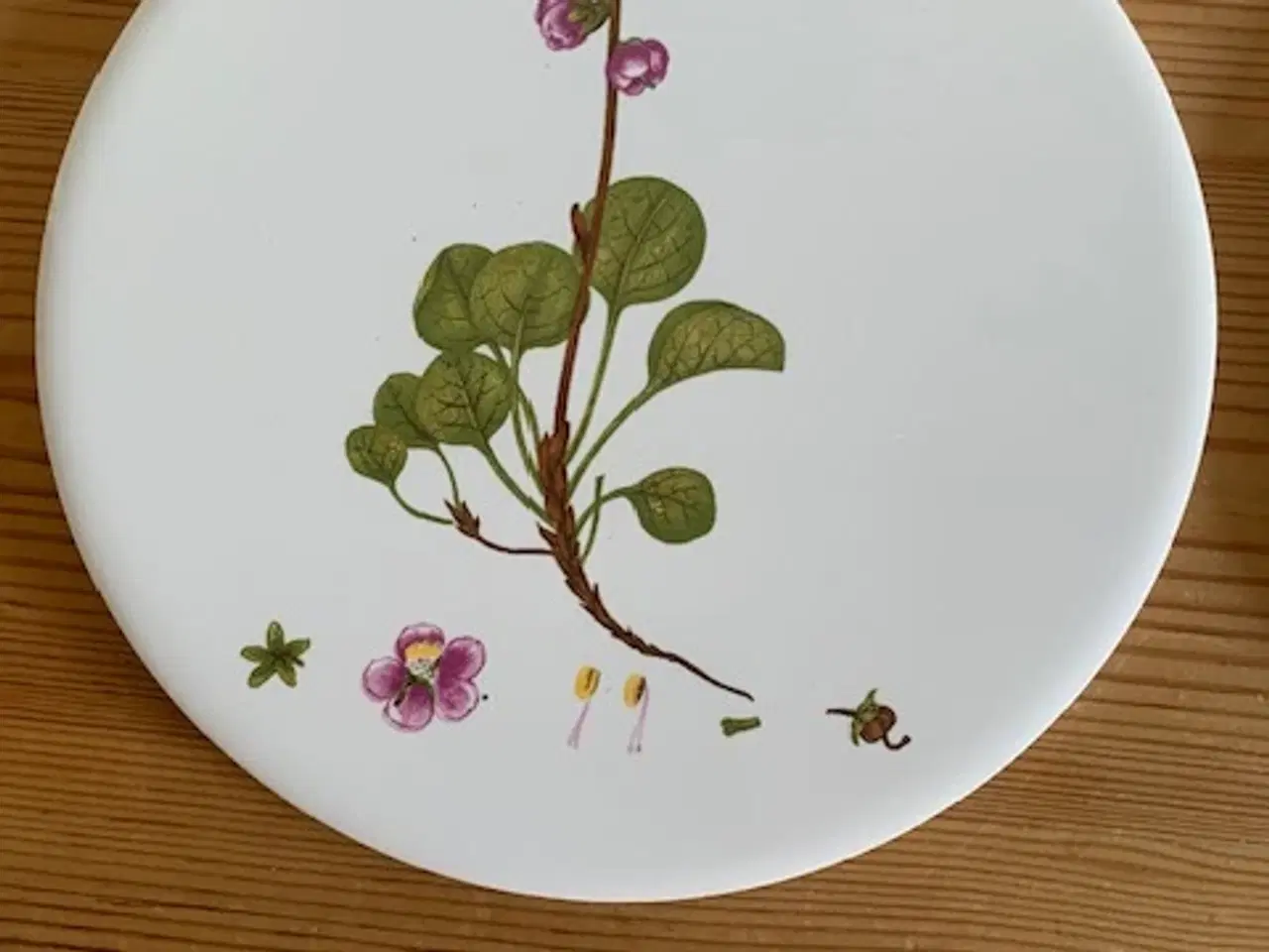 Billede 3 - Flora Danica platte, vintage - samlet pris 30 kr.