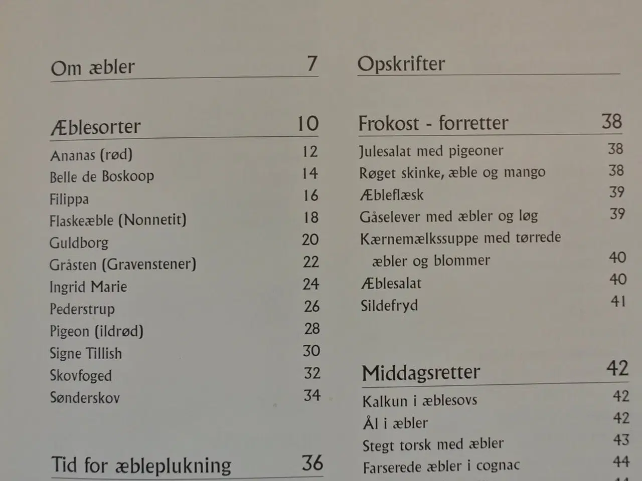 Billede 3 - gamle danske æbler, af jeanette thorseng lildholt,