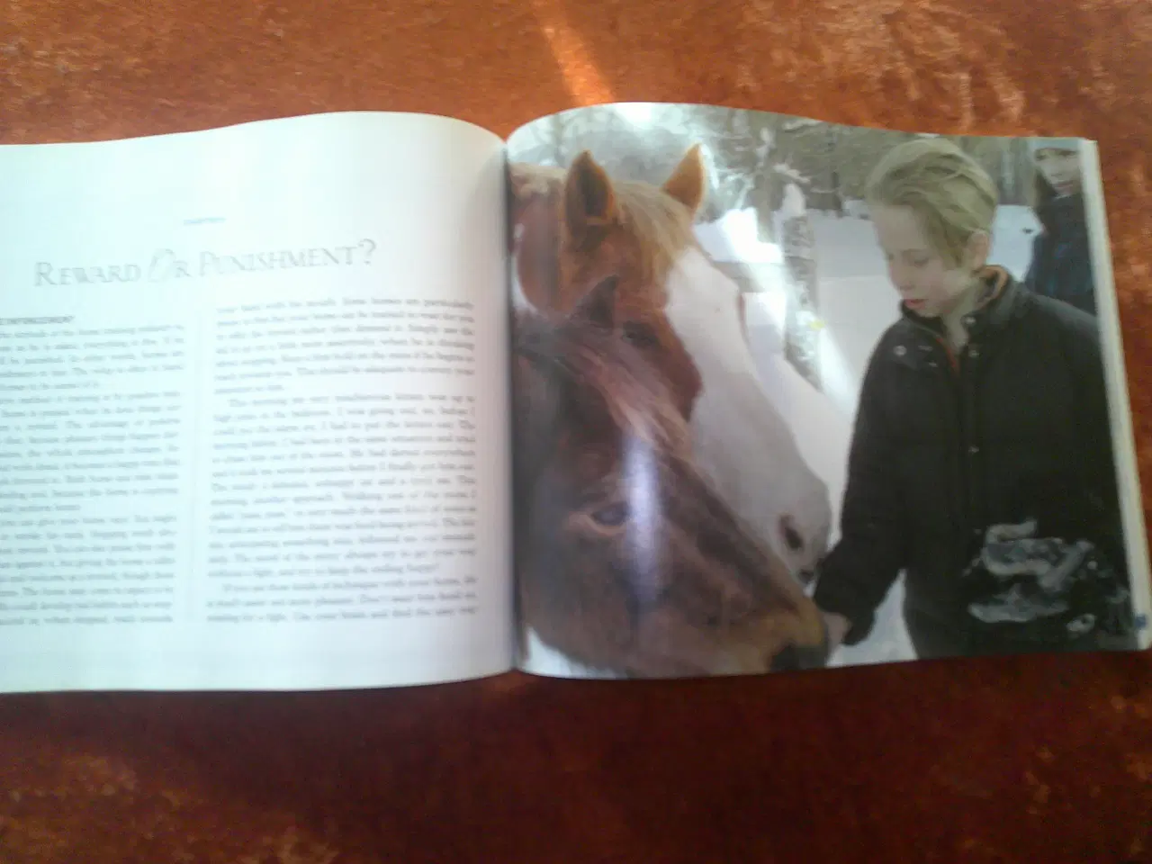 Billede 2 - In Harmony With Your Horse, Clare Albinson