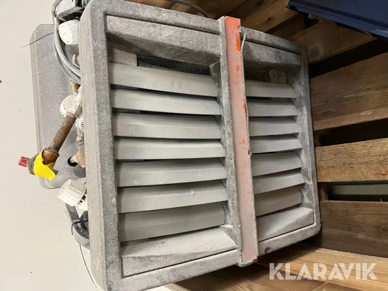 Billede 3 - Kaloiferer Gea og Sonniger 4 styk