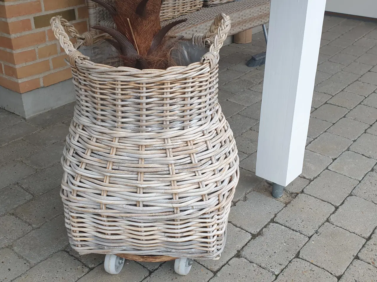 Billede 2 - Pilefletkurv m/palme