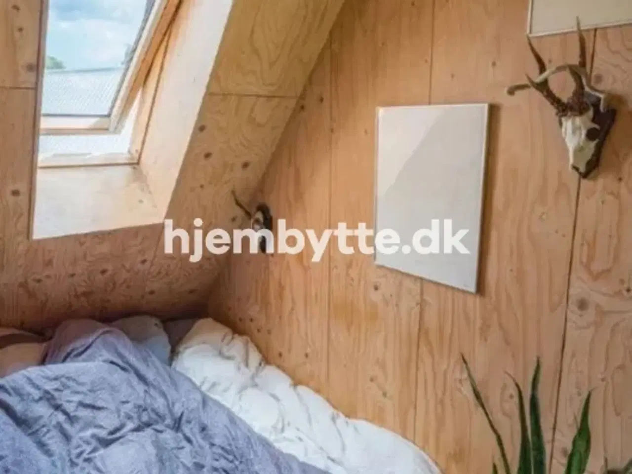 Billede 6 - Hjembytte - Damagervej