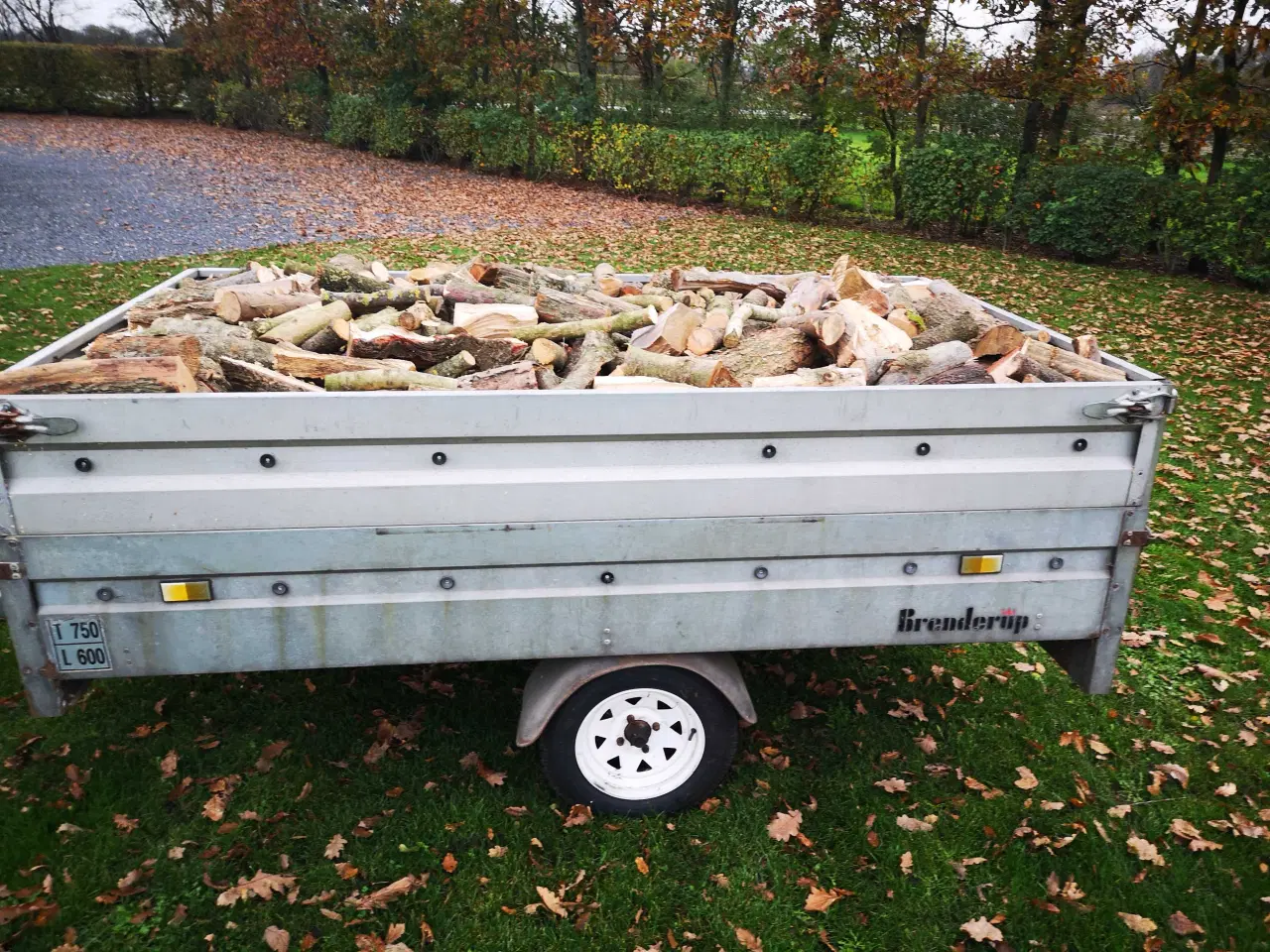 Billede 2 - Fyrings klar Brænde