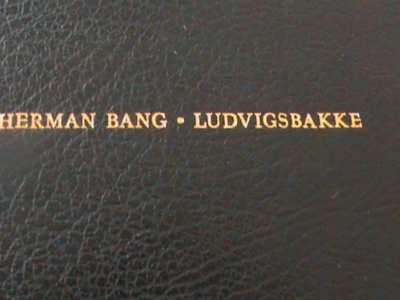 Billede 2 - Bog: Herman Bang: Ludvigsbakke