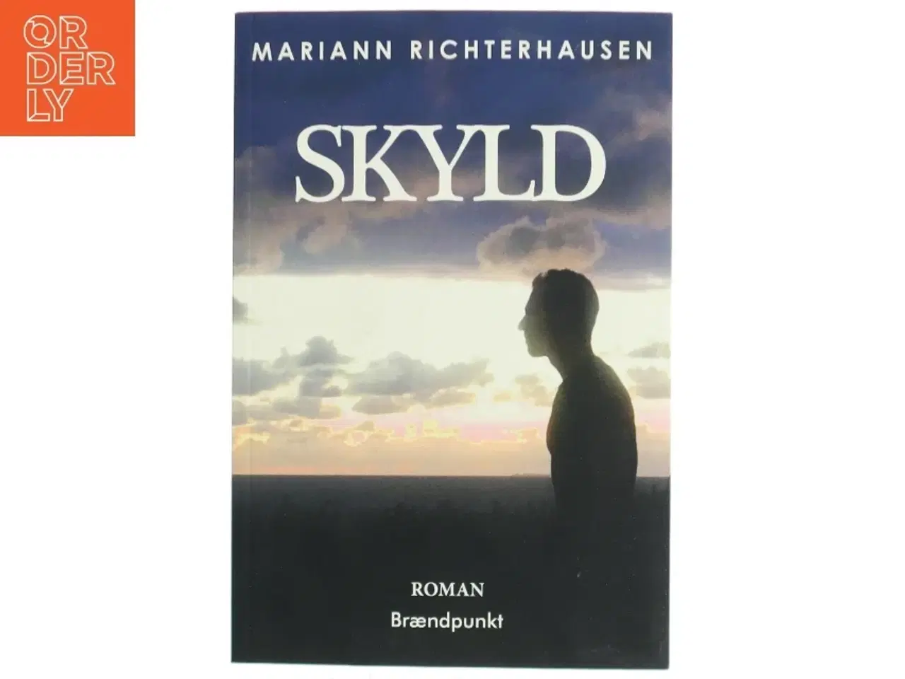 Billede 1 - Skyld : roman af Mariann Richterhausen (f. 1980) (Bog)