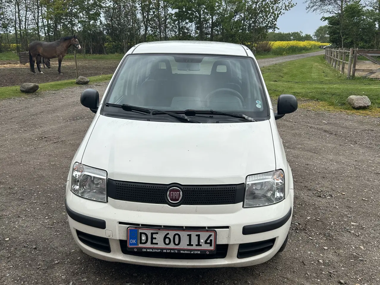 Billede 4 - Fiat panda