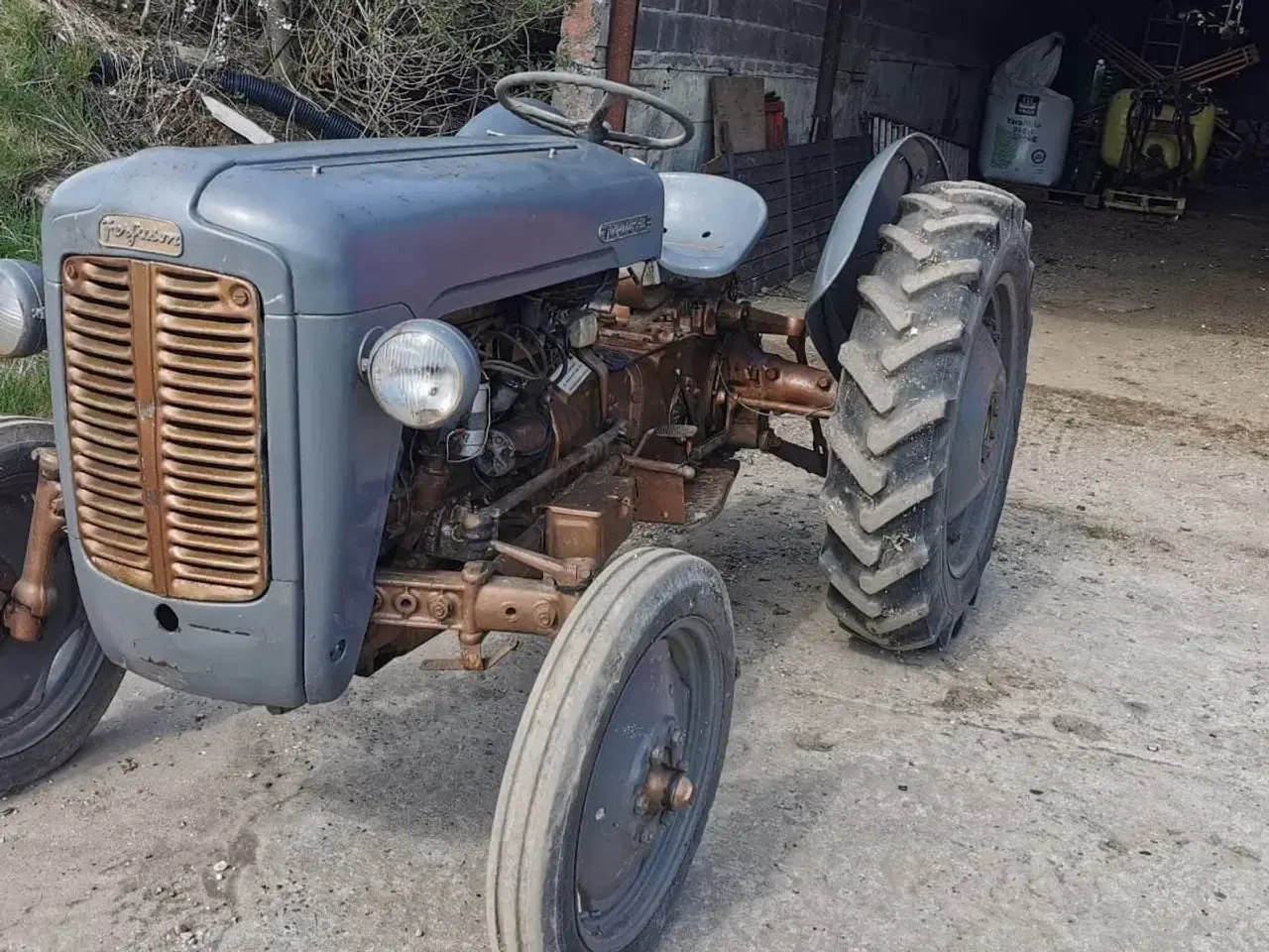 Billede 11 - Massey Ferguson 35 Guldfugl 