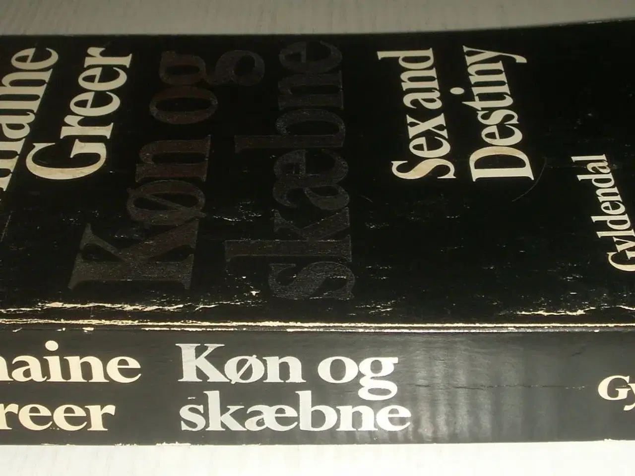 Billede 1 - Bog, Sex and Destiny, Køn og skæbne