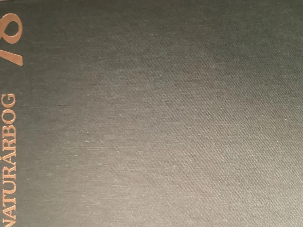 Billede 1 - Ekko 77. Hvornår hvordan og hvorfor sker det ? 