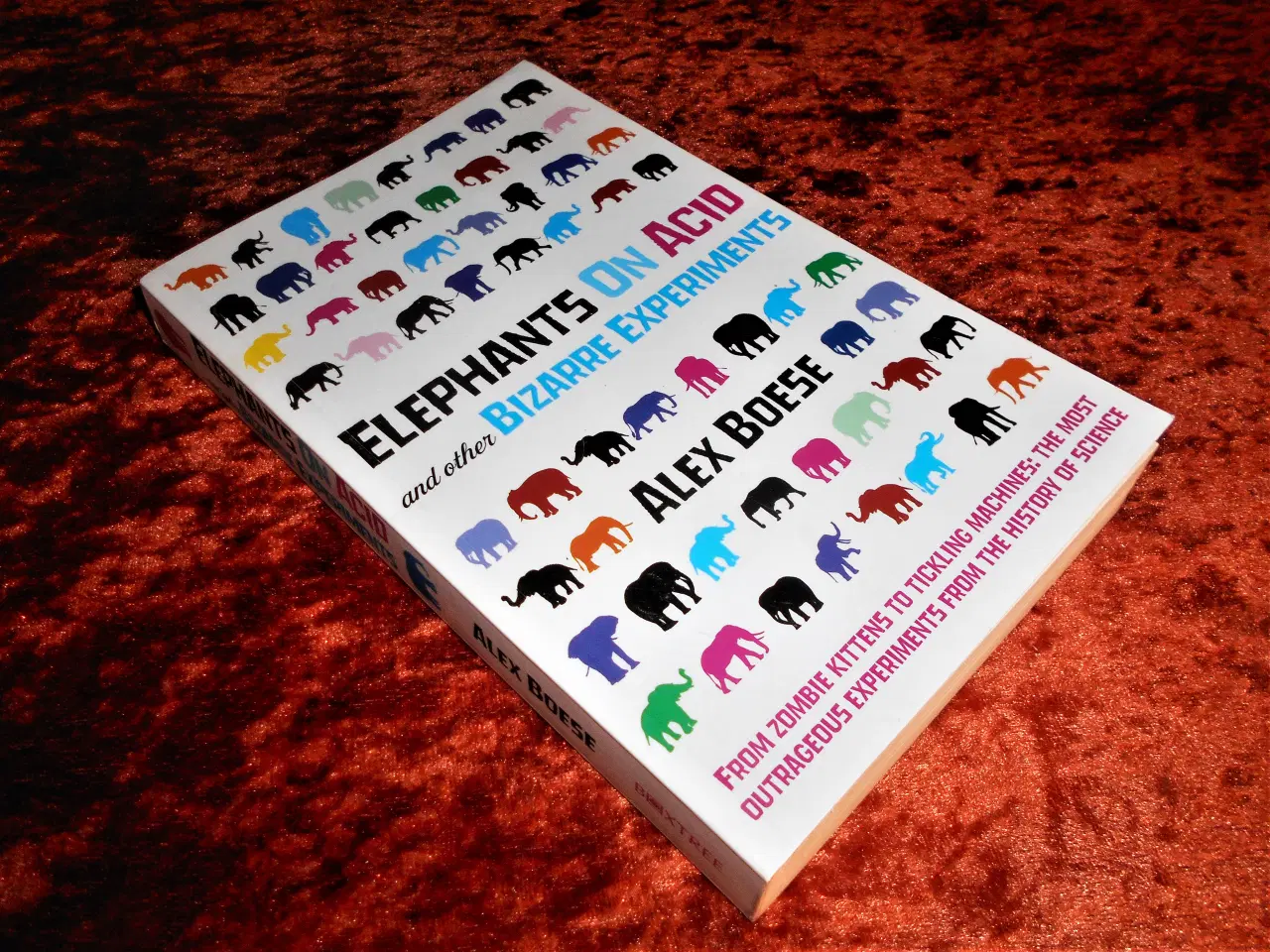 Billede 1 - Elephants on Acid, Alex Boese,