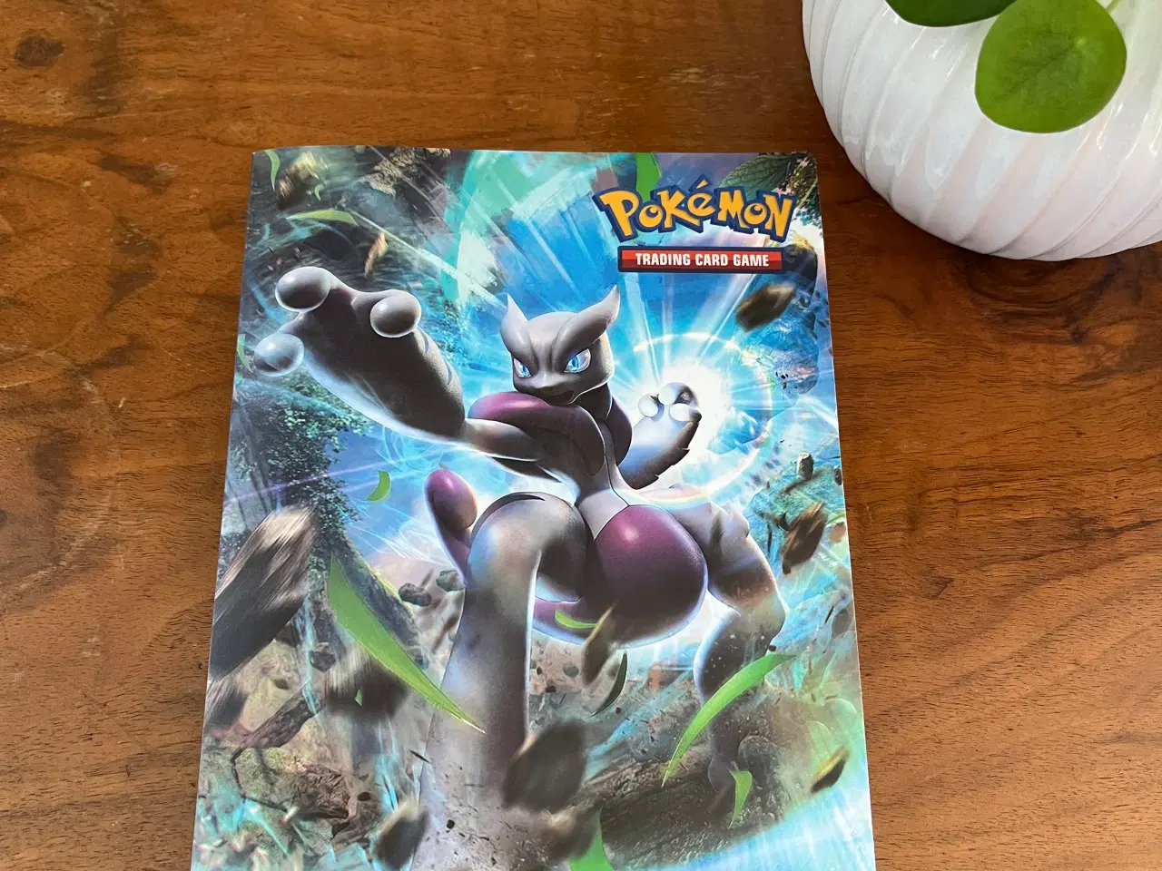 Billede 1 - Pokemon mappe