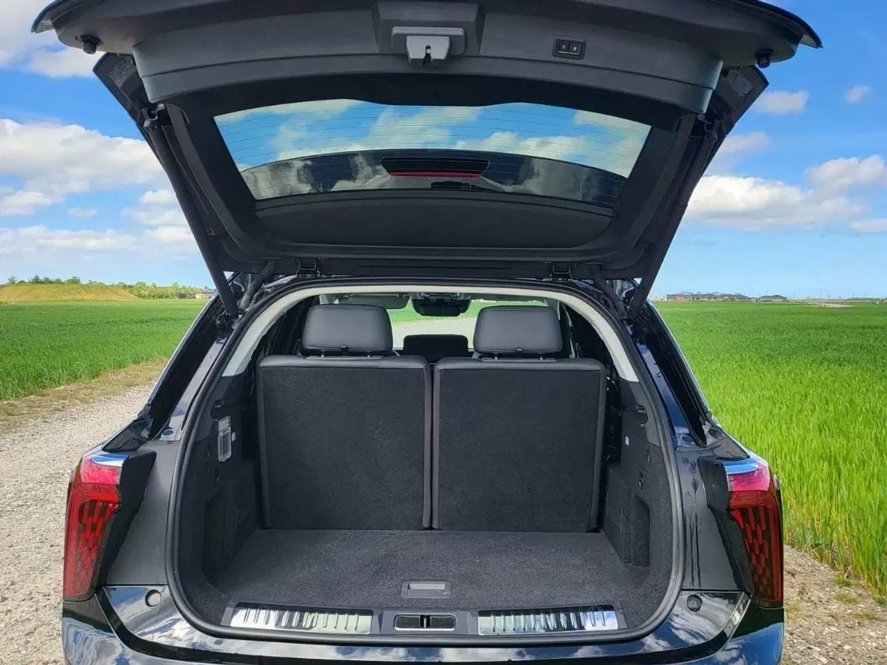 Billede 18 - Hongqi E-HS9 99 Premium Black Edition