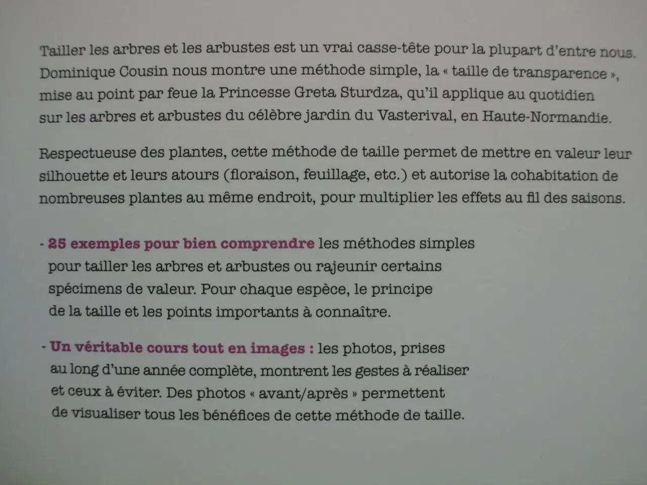 Billede 3 - la taille de transparence et autres tailles simple