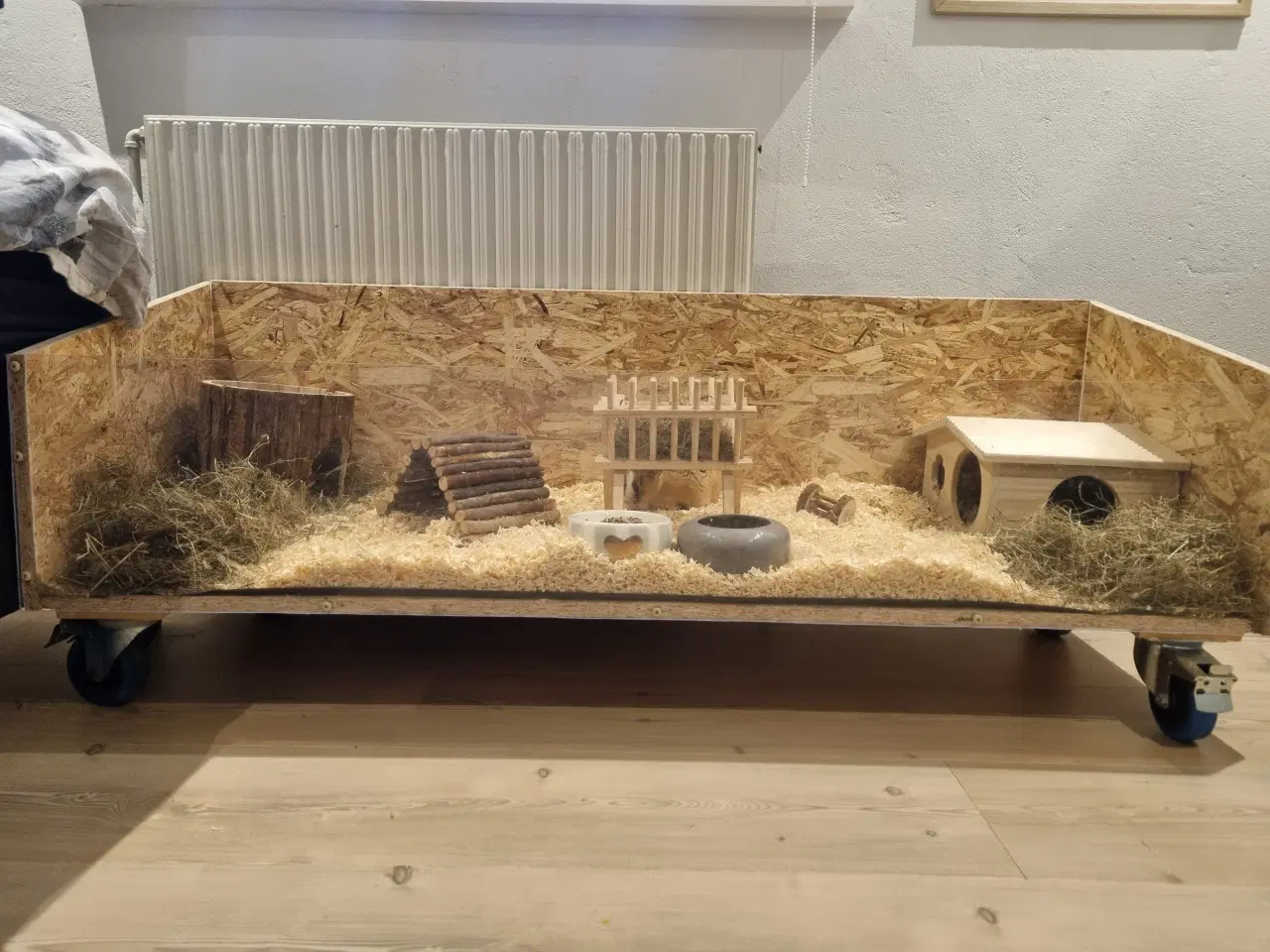 Billede 2 - To kælne marsvin søger nyt hjem