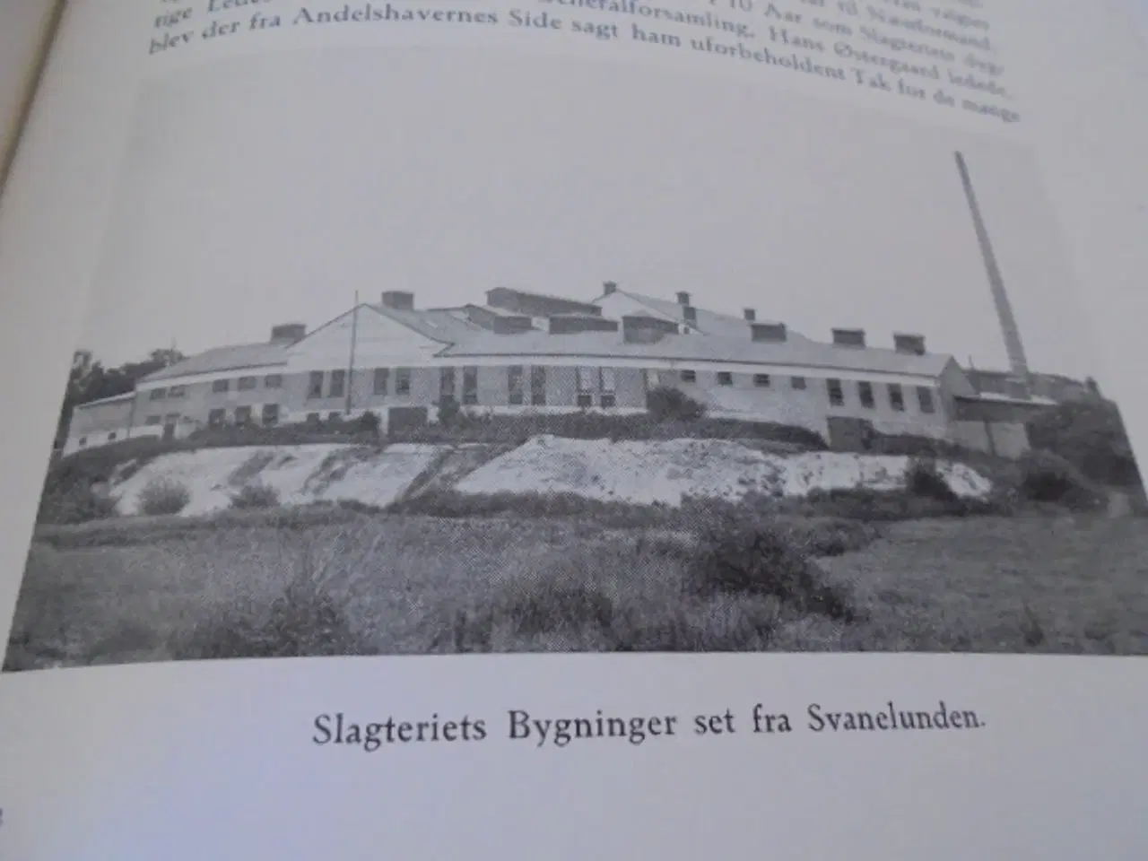 Billede 8 - Hjørring amts andels-svineslagteri 1891-1941 