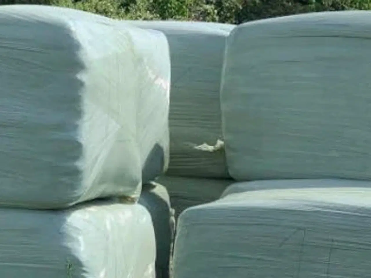 Billede 1 - Wrap-hø til hesthold