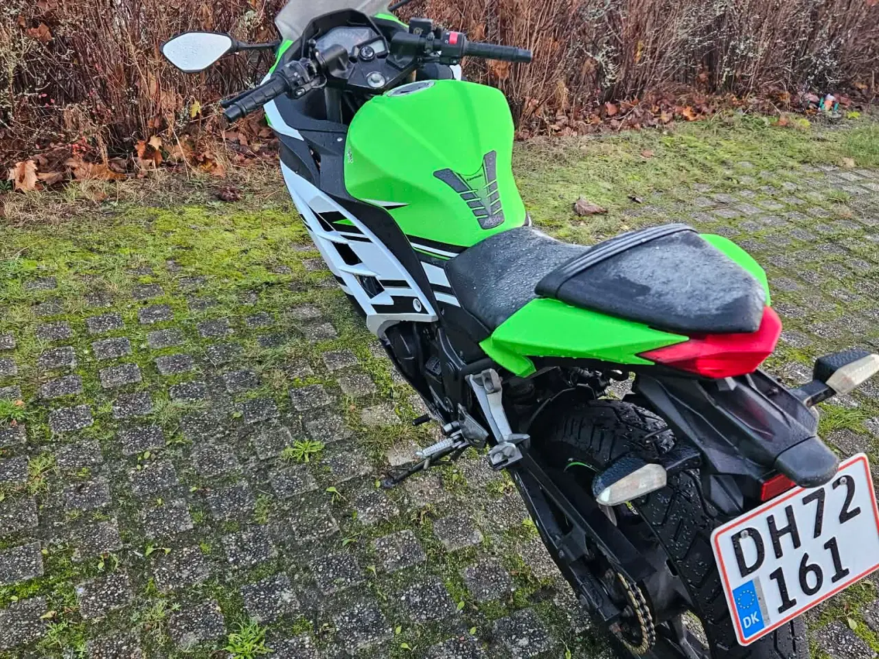 Billede 2 - Kawasaki Ninja 300