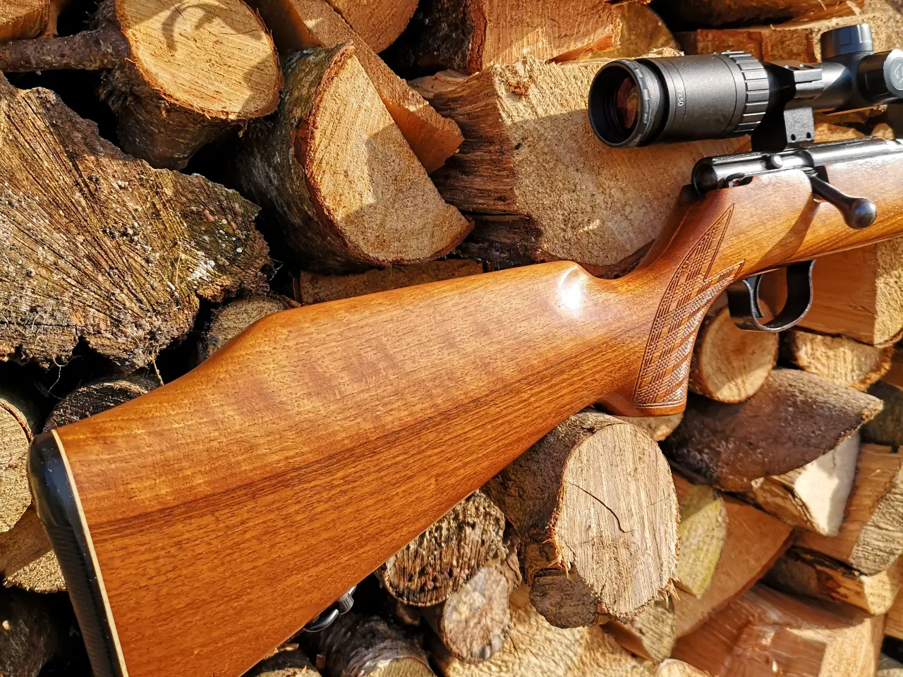 Billede 4 - Vore 22 magnum med Zeiss Terra 3X 3-9x50 kikkert