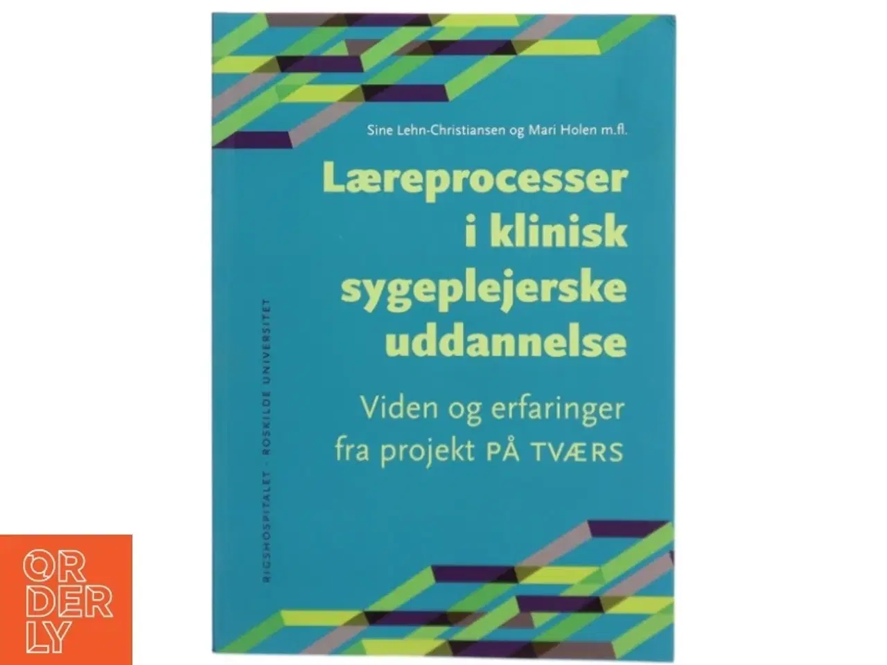 Billede 1 - Læreprocesser i klinisk sygeplejerskeuddannelse : viden og erfaringer fra projekt På Tværs af Mari Holen (Bog)