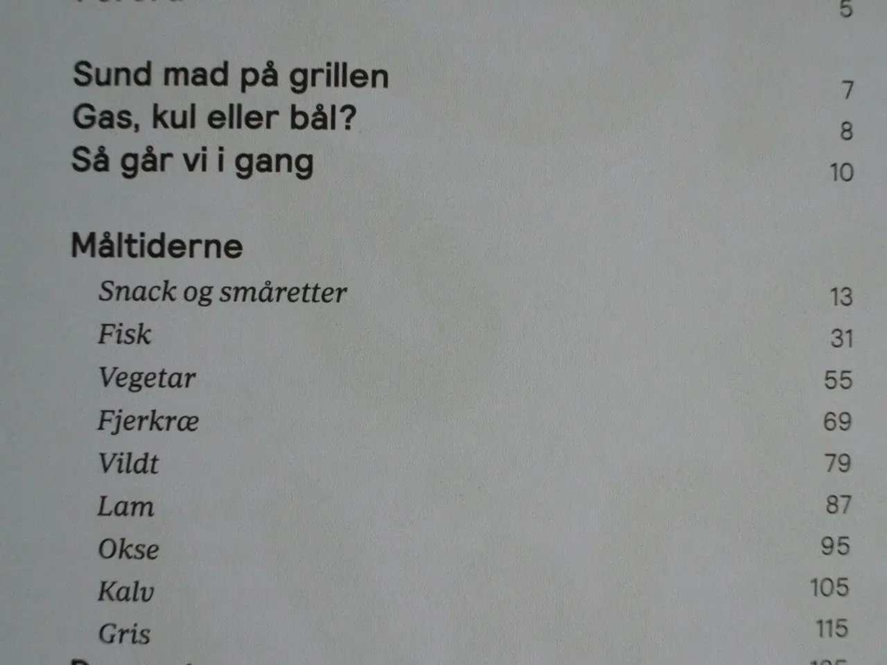 Billede 3 - bitz og holms grillrevolution, christian bitz og c