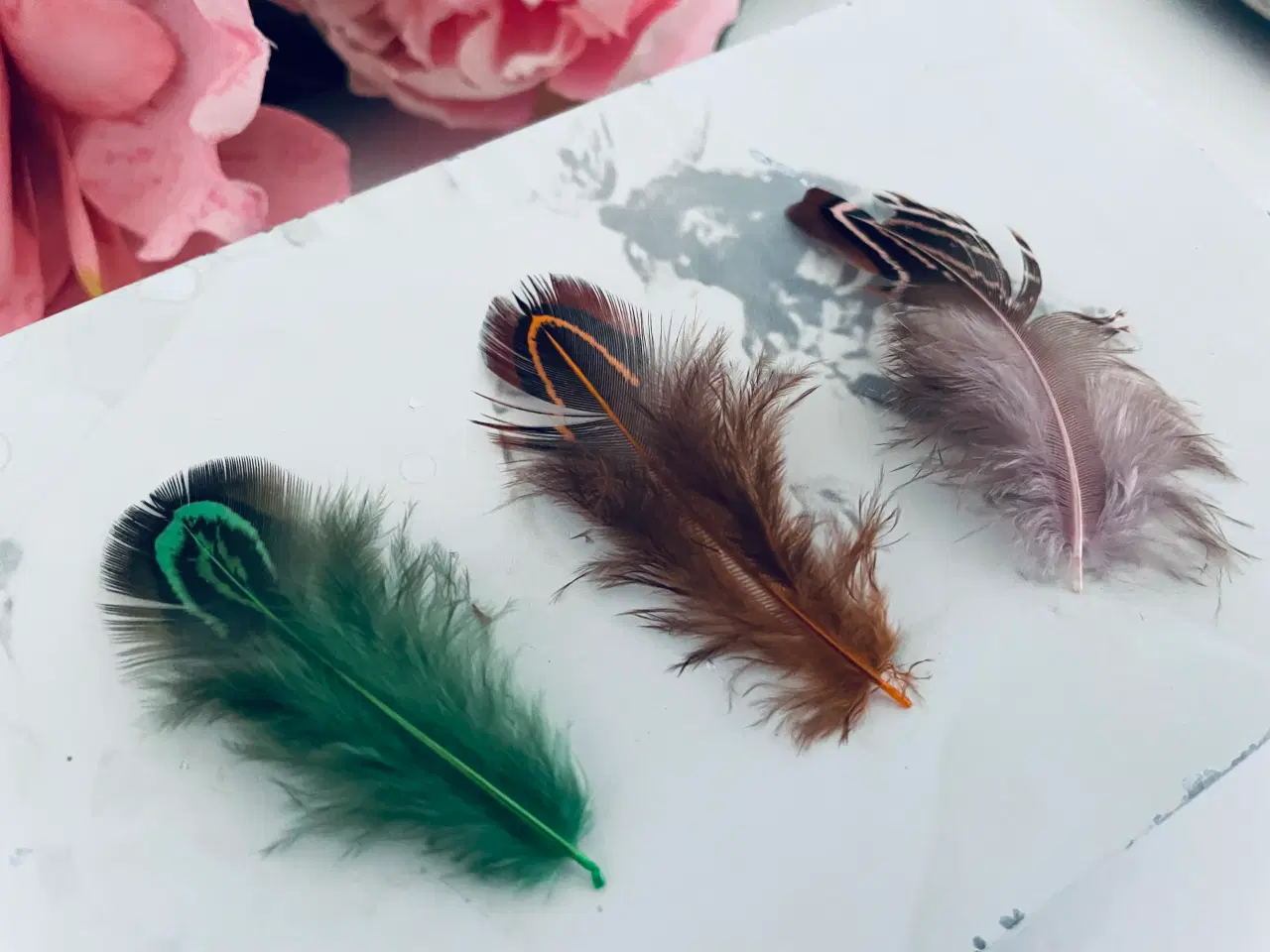 Billede 4 - Blandet fjer til dekoration