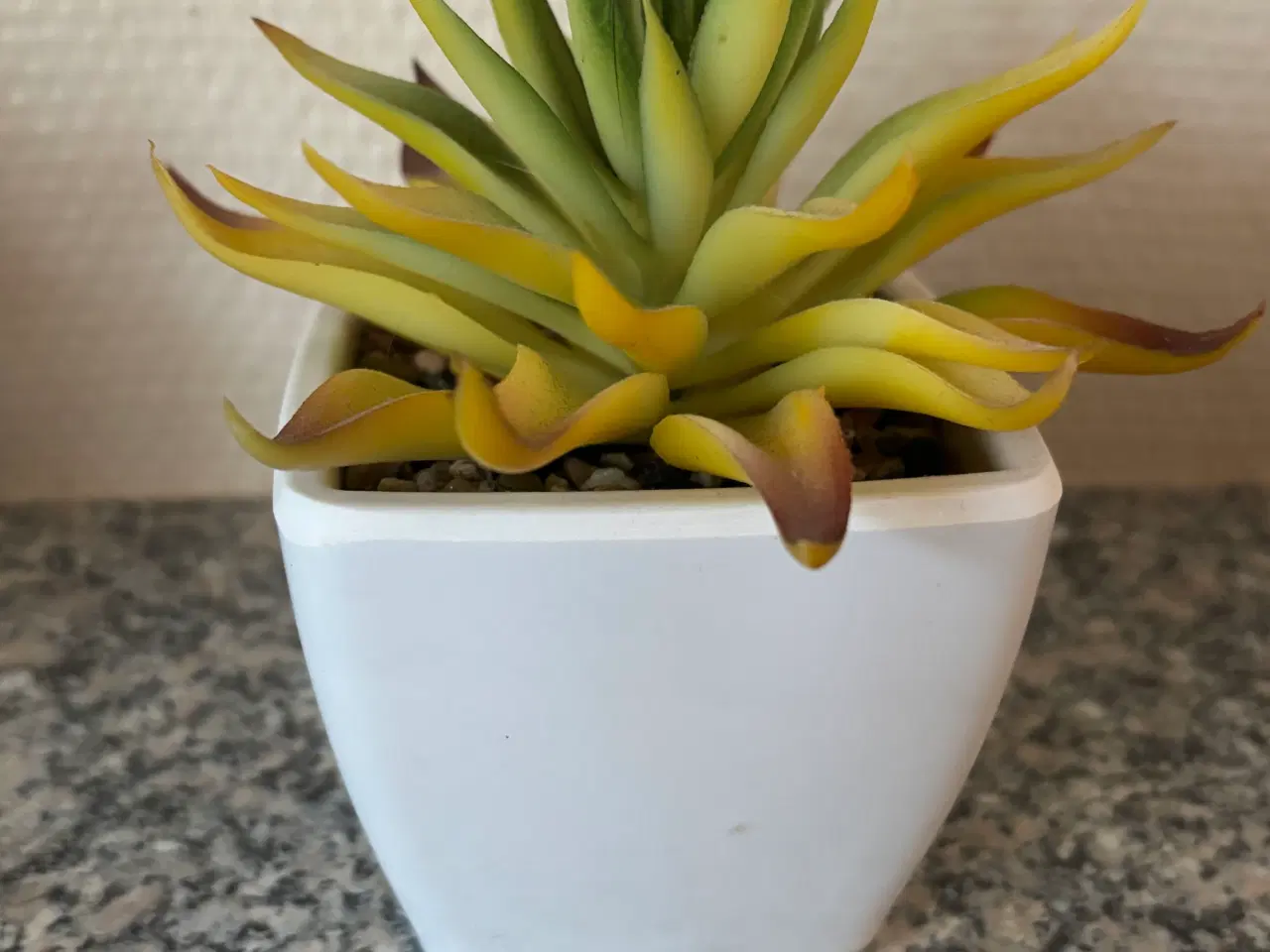 Billede 8 - 4 små plastik planter 