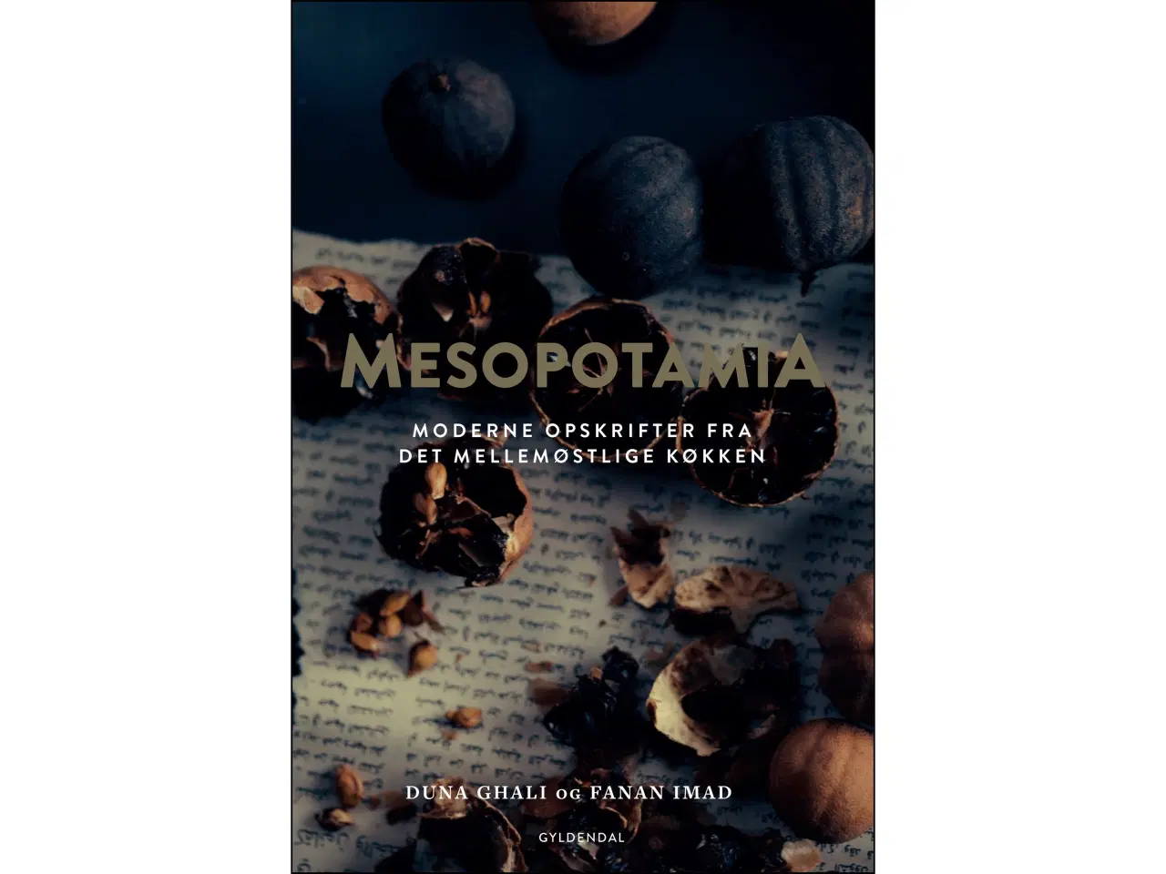 Billede 1 - Mesopotamia