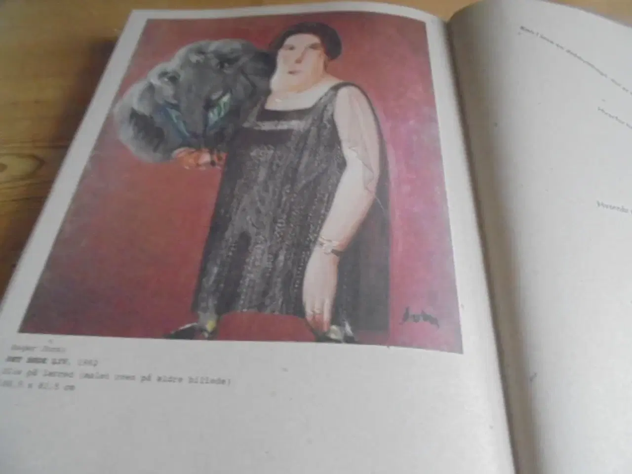 Billede 6 - 100 Asger Jorn Eksperimenter vi kan lave...