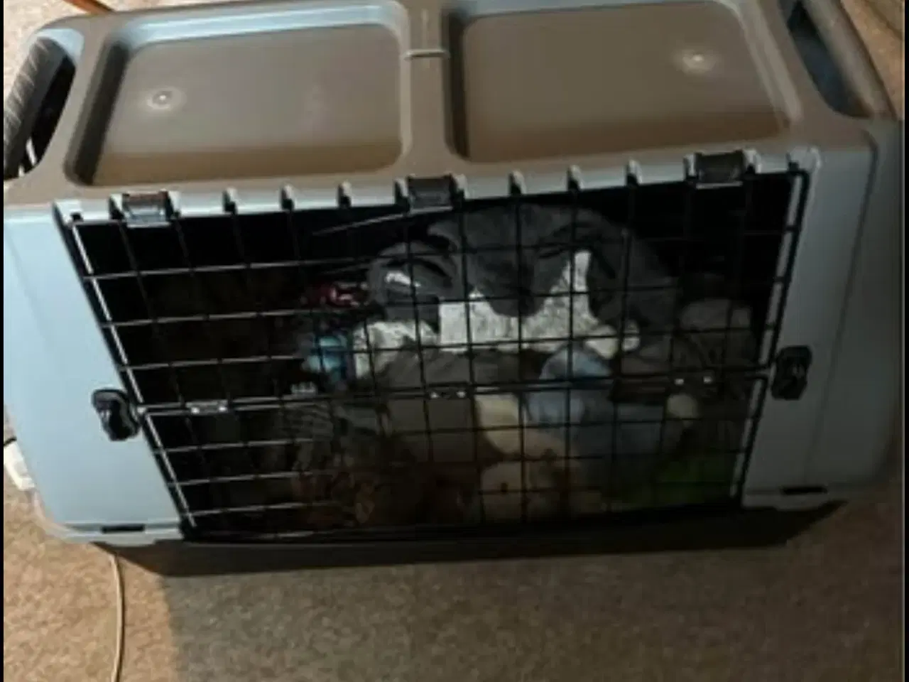 Billede 3 - Transport kasse