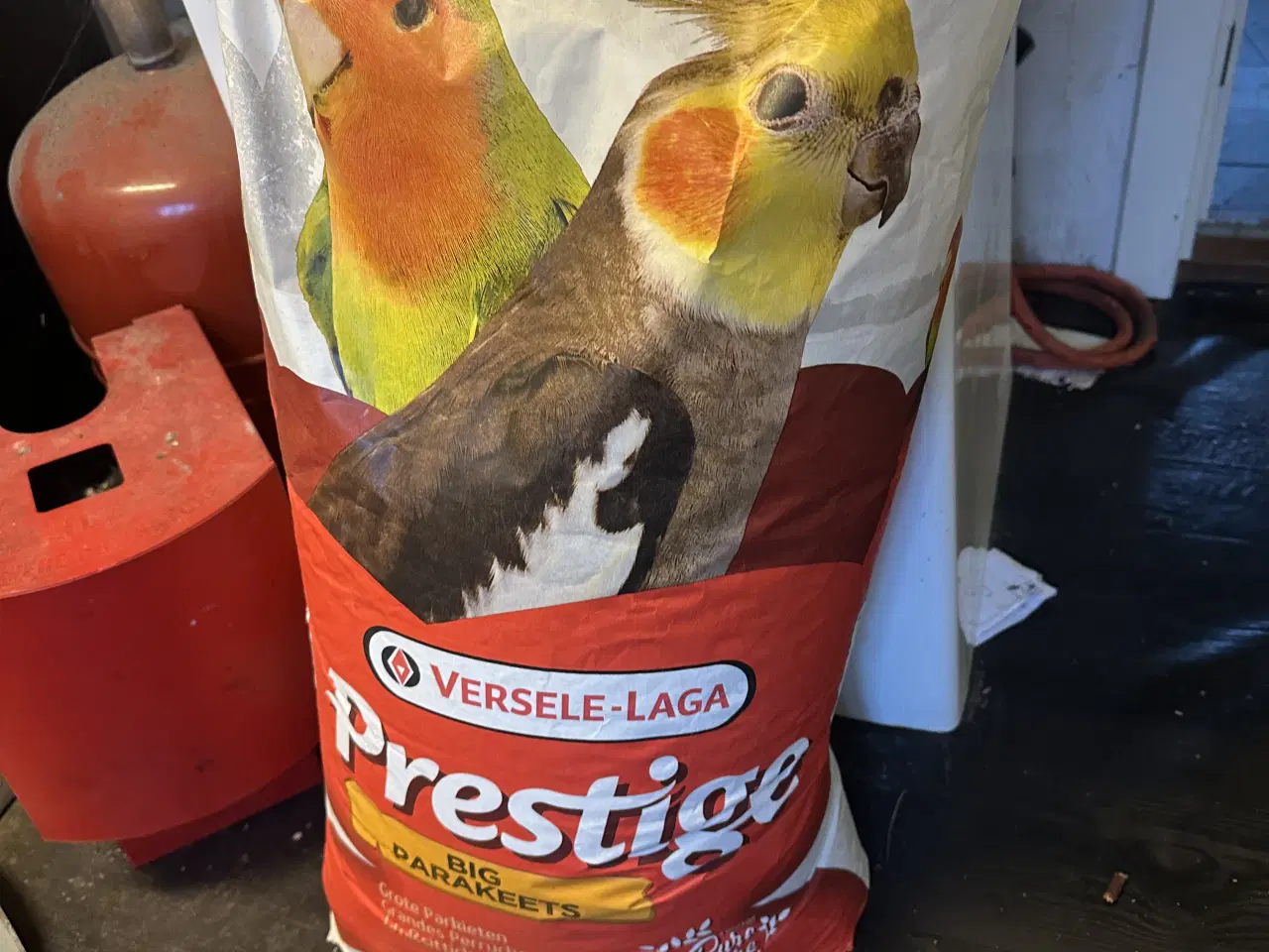 Billede 2 - Sælger mine fugle