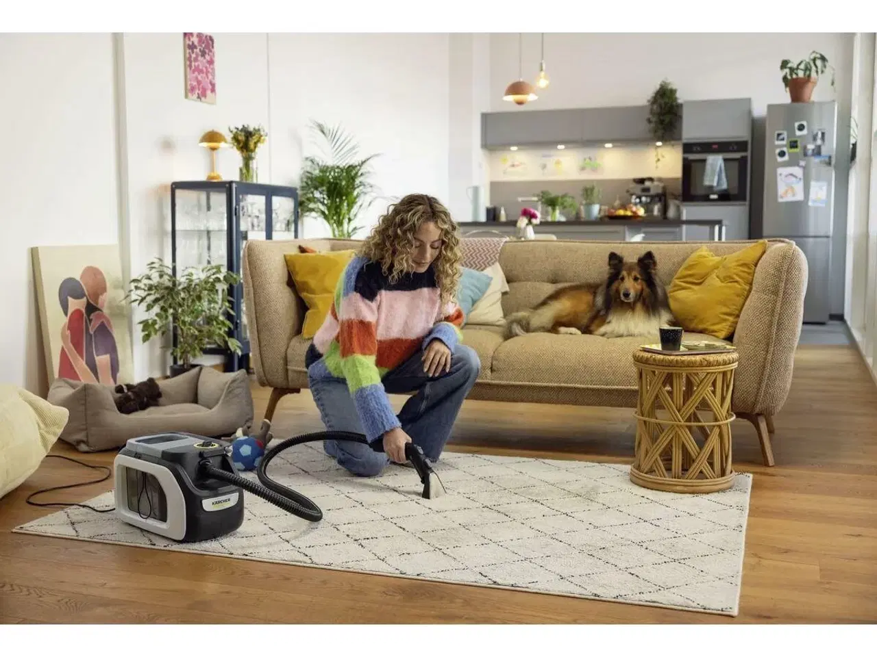 Billede 4 - Damprenser Kärcher SE 3 Compact - hvid/multifarvet, 500 W