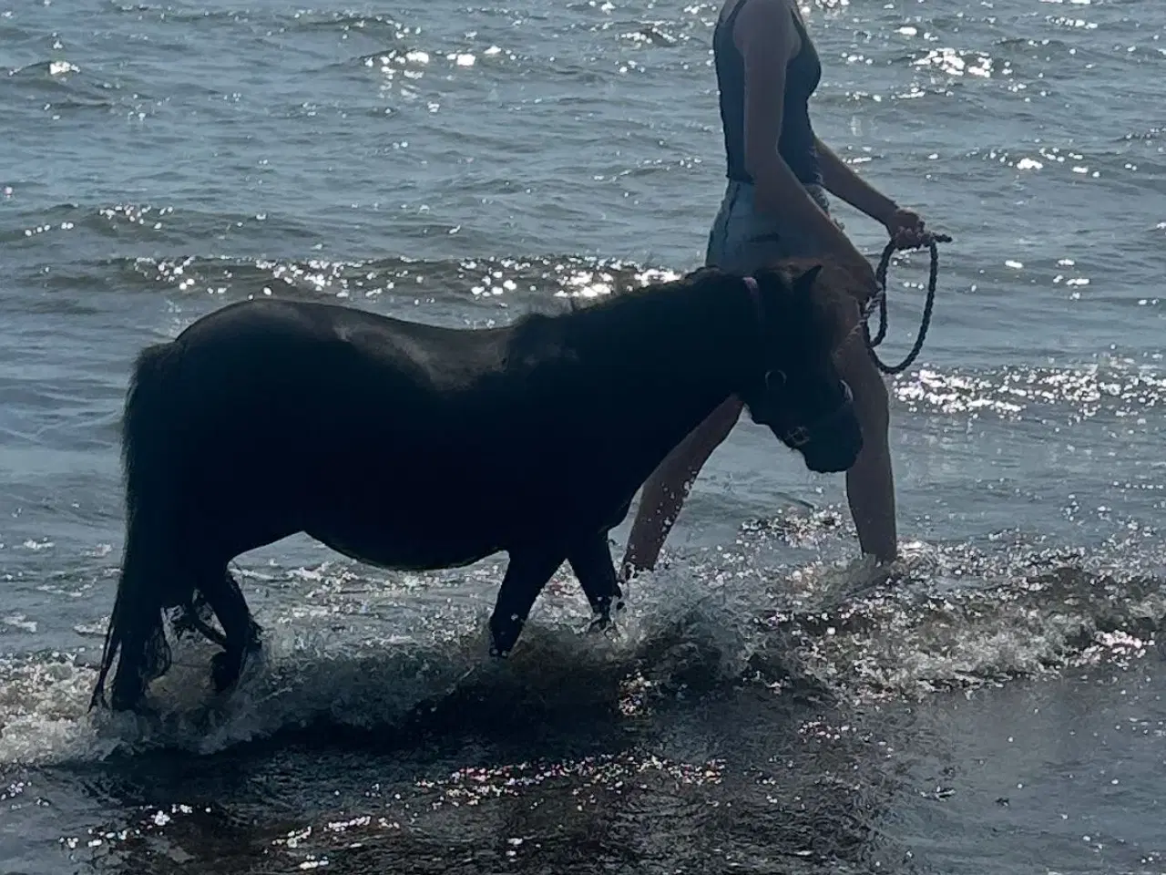 Billede 6 - Verdens sødeste pony søger nyt hjem