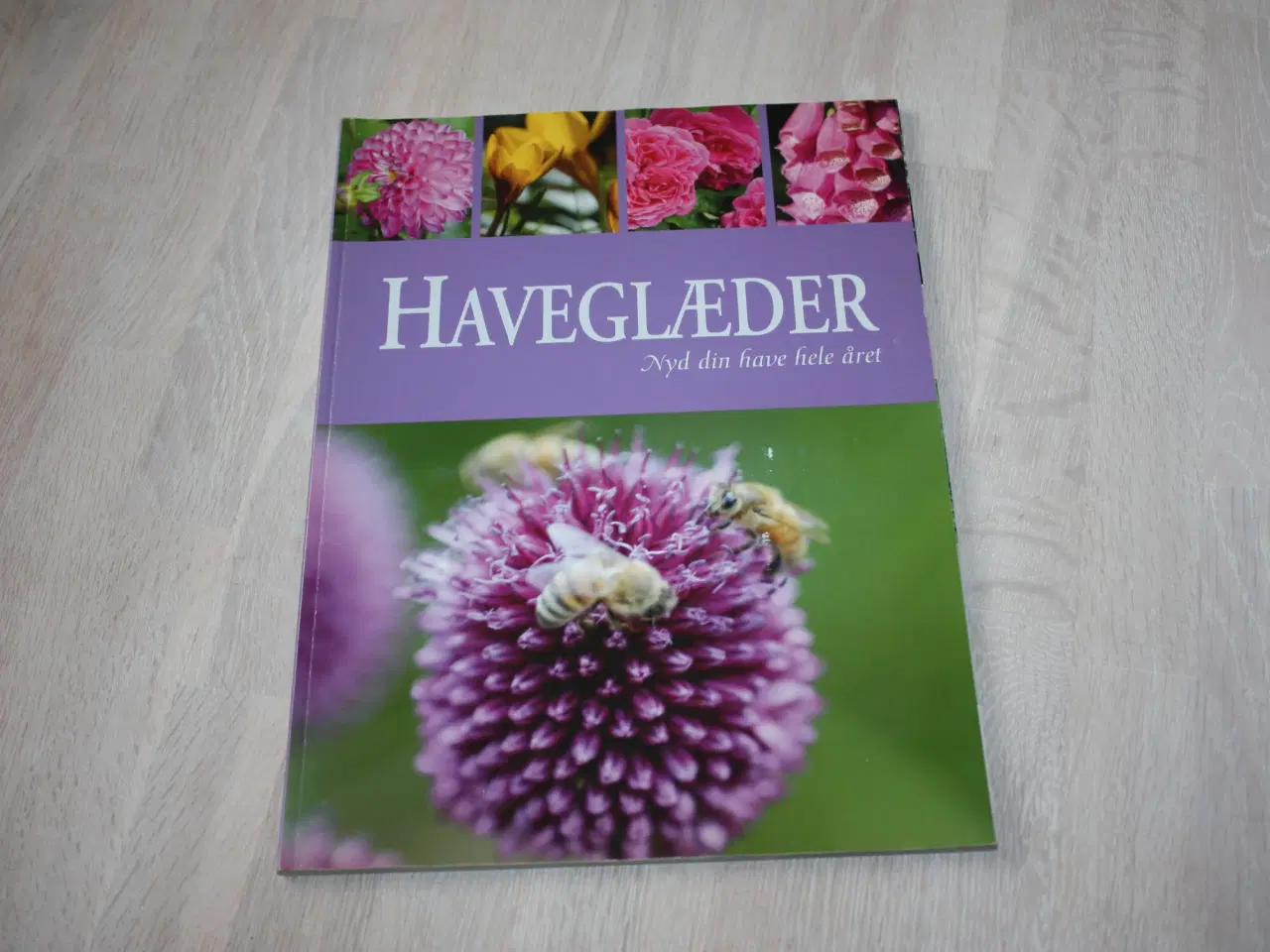 Billede 3 - Byhaven Inspiration til den lille have