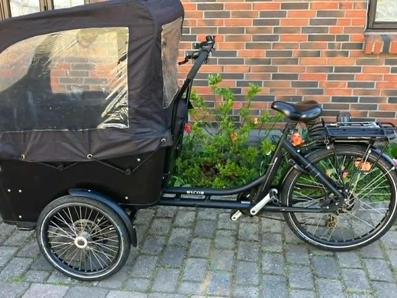 Billede 5 - SMUK EL SCO