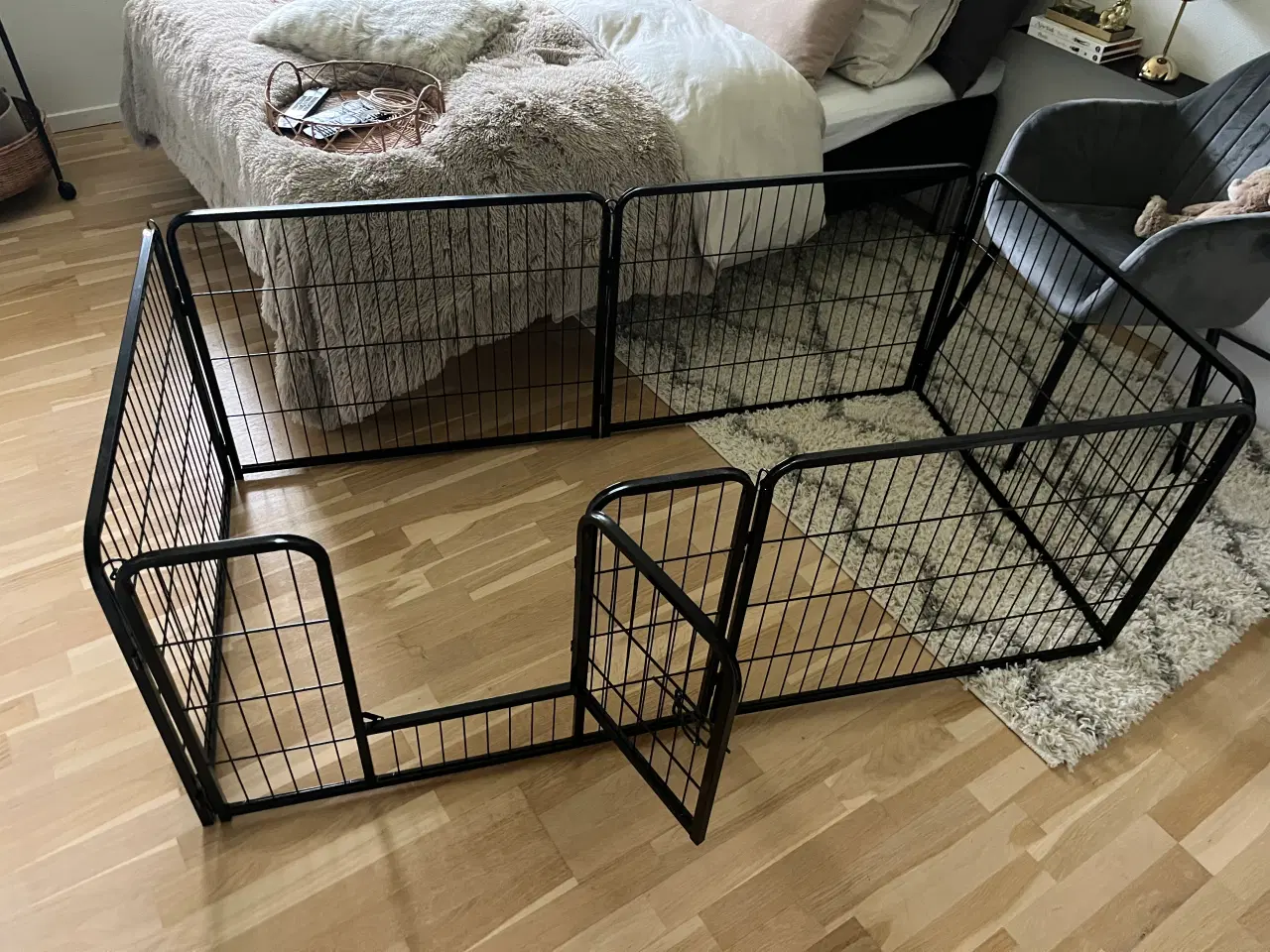 Billede 2 - Hunde/hvalpegård