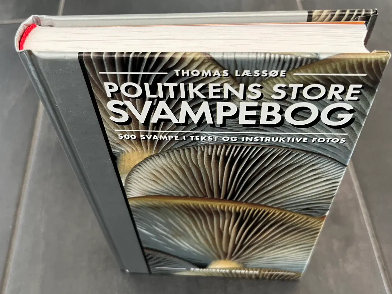 Billede 2 - POLITIKENS STORE SVAMPEBOG 